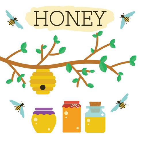490x490 Honey Beehive Vector