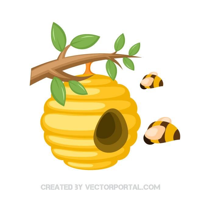 660x660 Honey Bees In A Beehive Vector Illustration Animal Vectors Bee