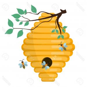 300x300 Png Western Honey Bee Honeycomb Beehive Vector Graphic Newwaysys