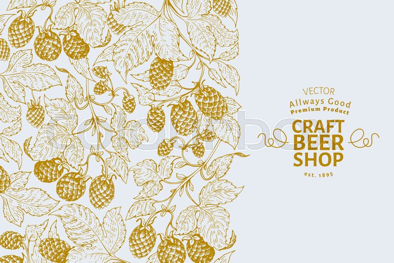 Beer Hop Design Template Retro Beer Stock Vector Colourbox 800x534 Beer Hop Design Template Retro Beer Stock Vector Colourbox