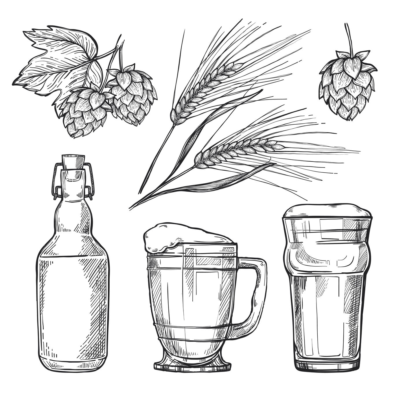 1400x1397 Beer Hand Drawn Vector Illustration