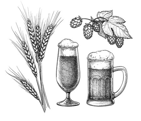 450x386 Hops, Malt, Beer Glass And Beer Mug Isolated On White Background