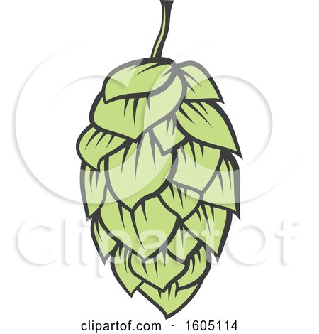 450x470 Clipart Of A Green Beer Hop