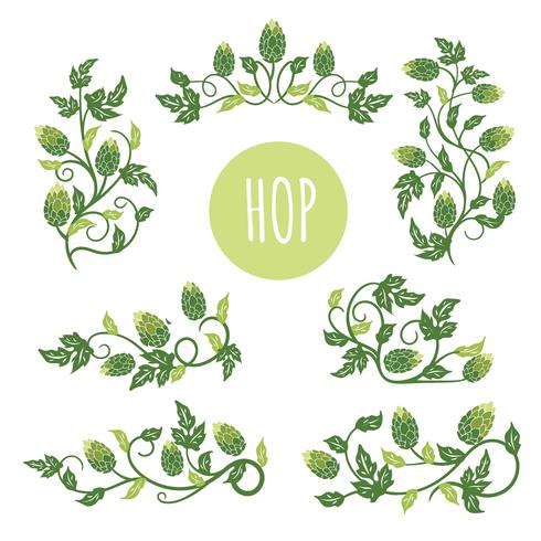 490x490 Green Hop Plant, Sketch Style Vector Illustration Isolated