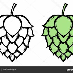 300x300 Hop Vector Seamless Pattern Black Hand Drawn Artistic Beer Hop Gm