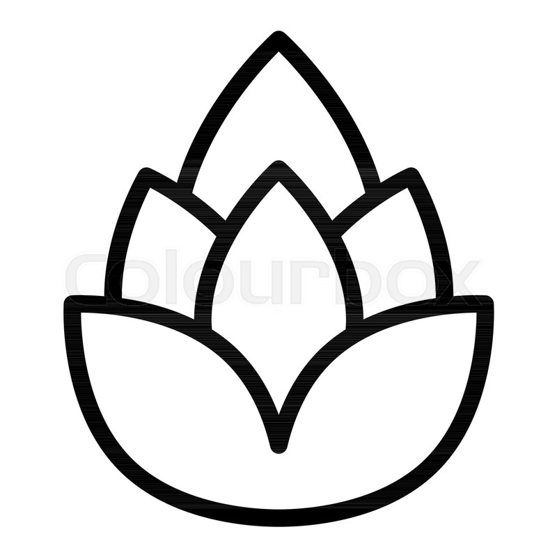 800x800 Hop Line Icon Beer Hop Vector Stock Vector Colourbox