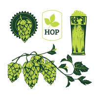 200x200 Hops Free Vector Art