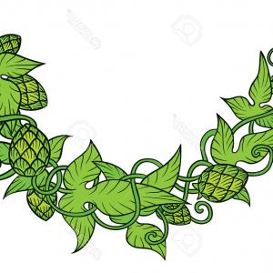 300x300 Hops Vector Visual Graphic Icon Logo Hoodamath