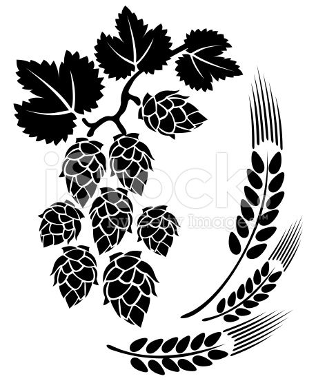 458x556 Stylized Hop And Ears On A White Background Craft Beer Shirts