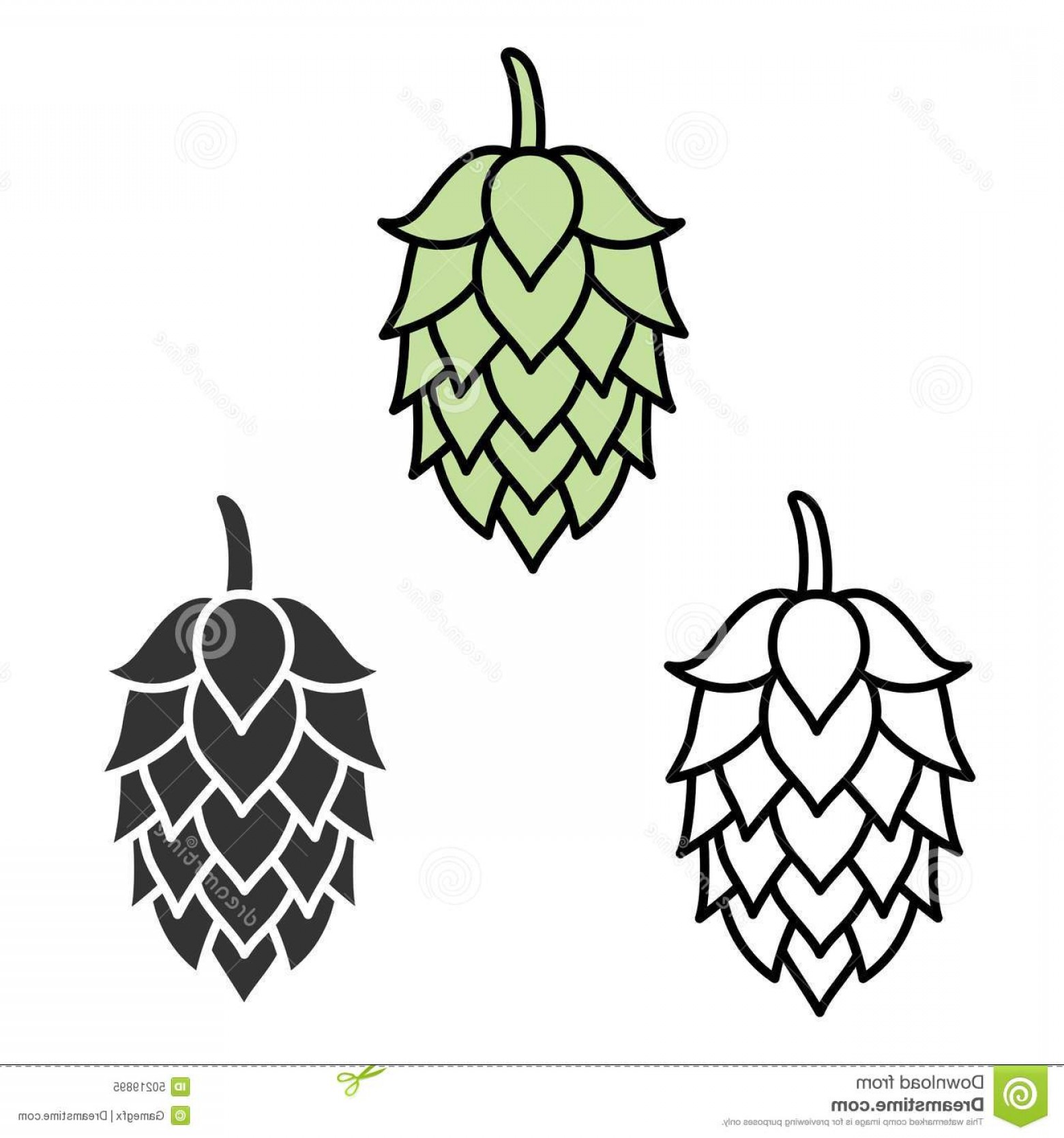 1560x1668 Beer Hops Vector Catchsplace