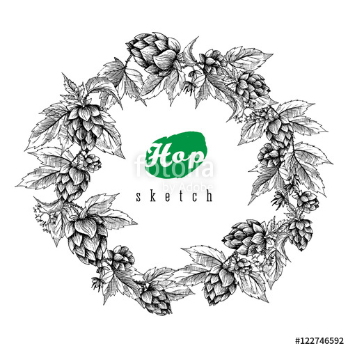 500x500 Beer Hops Round Frame Hand Drawn Hops Branches With Leaves, Cones
