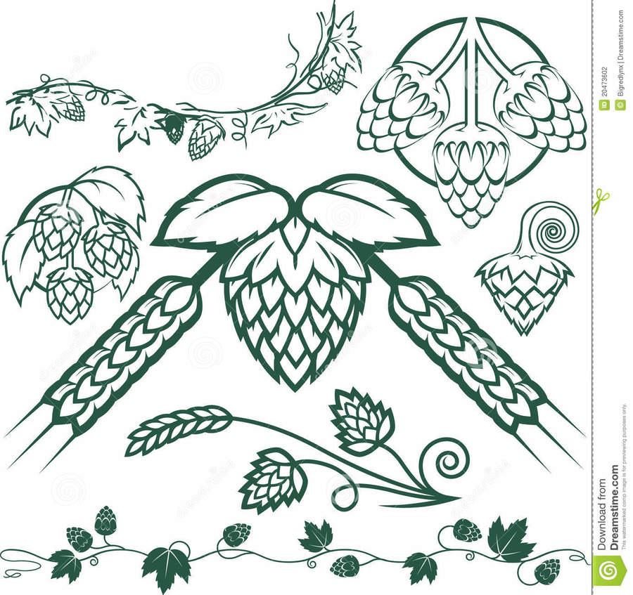 900x847 Download Beer Hops Vector Clipart Beer Hops Stout