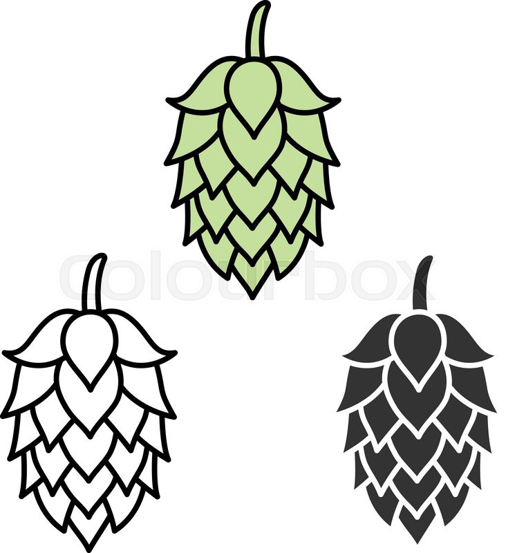 732x800 Hop Craft Beer Sign Symbol Label Stock Vector Colourbox