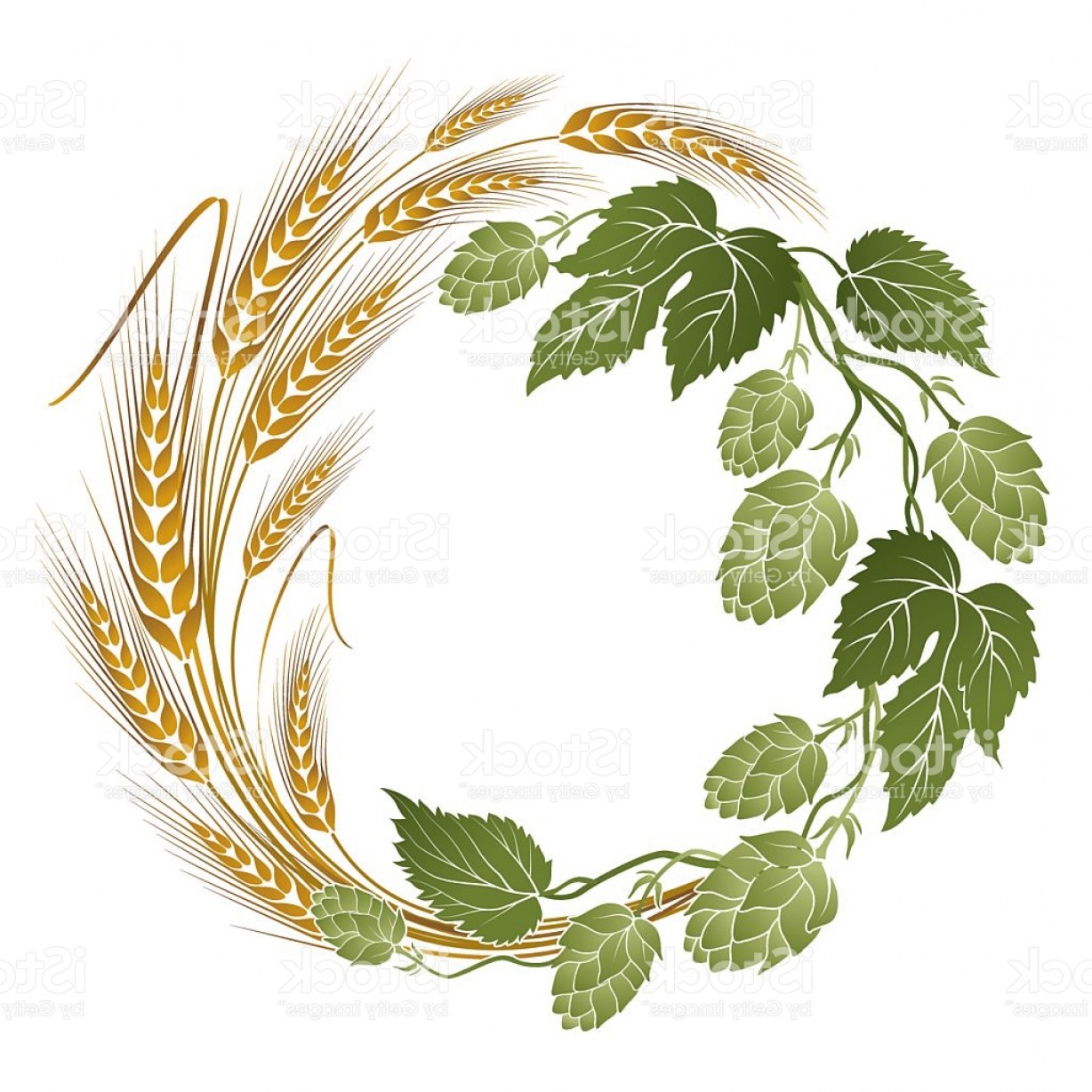 1228x1228 Hops And Wheat Illustration For Beer Label Gm Createmepink