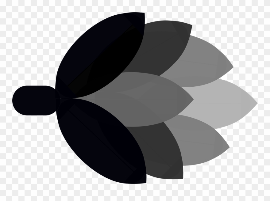 880x656 Beer Hops Free Vector Graphics Clipart