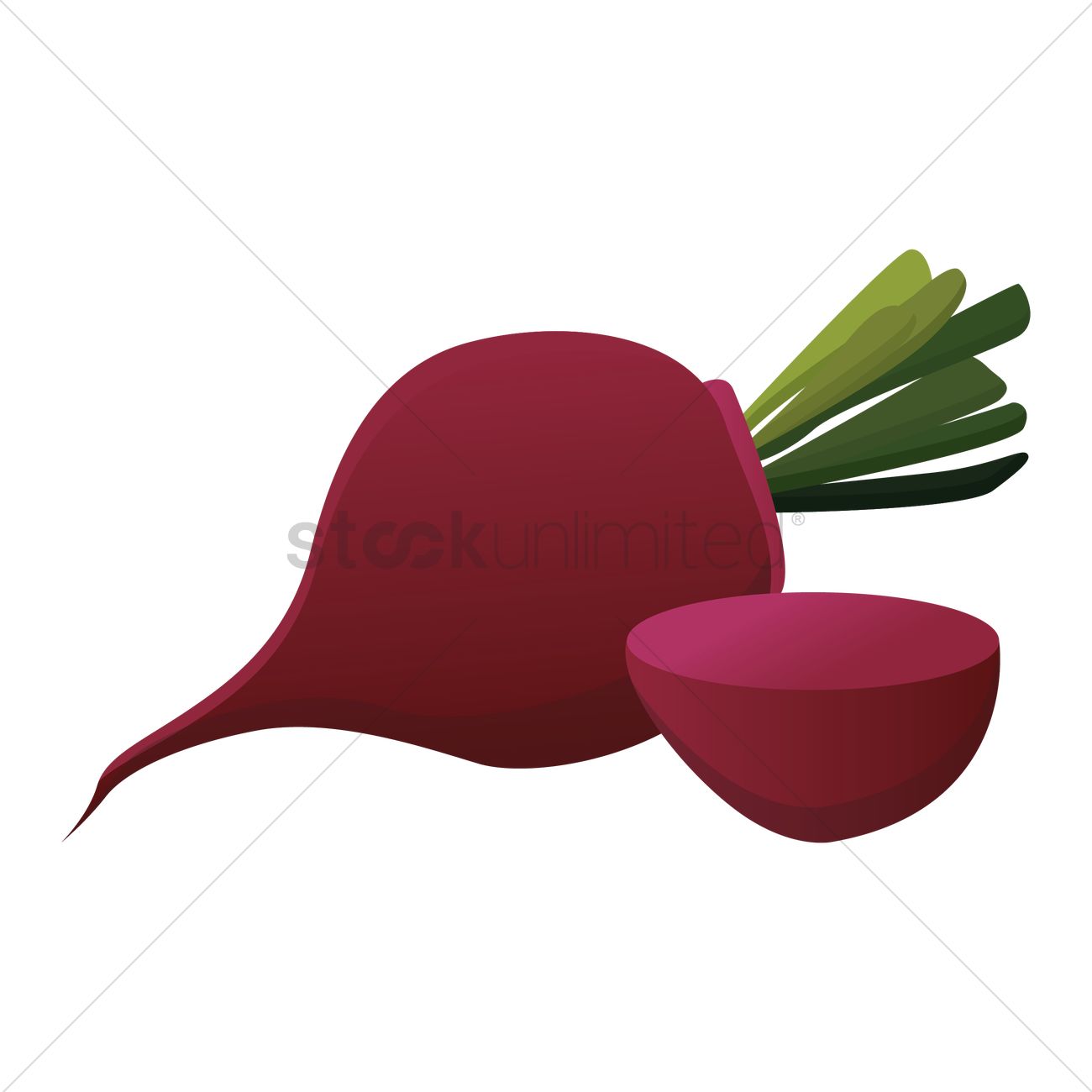 1300x1300 Beetroot Vector Image