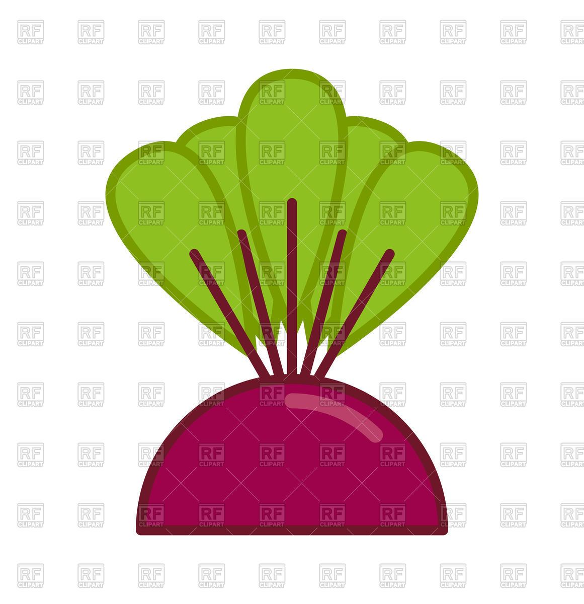 1161x1200 Beets Grow Isolated Vector Image Of Food And Beverages