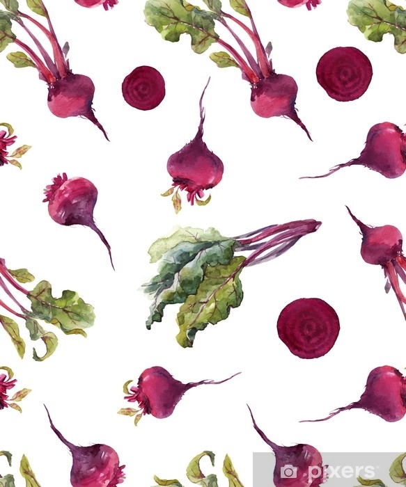 583x700 Watercolor Beet Vector Pattern Wall Mural