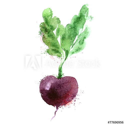 500x500 Beet Vector Logo Design Template Vegetables Or Food Icon
