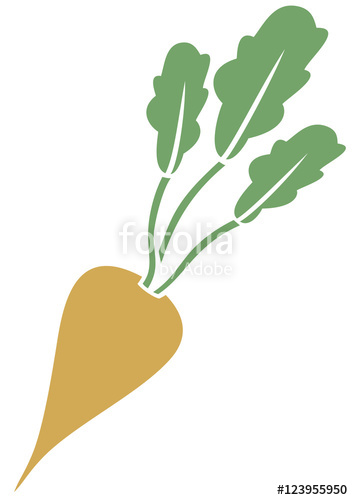353x500 Sugar Beet Vector Icon Stock Image And Royalty Free Vector