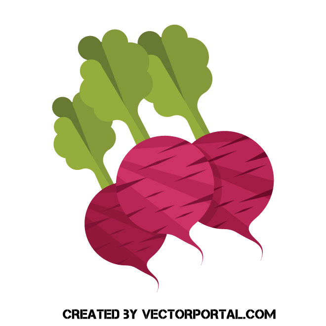660x660 Beet Vegetables