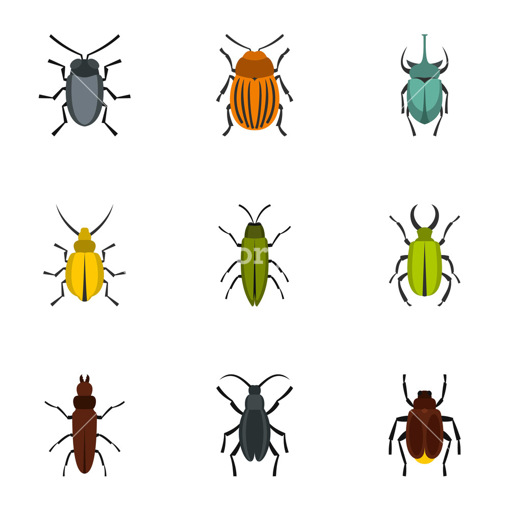 Beetle Icons Set Flat Illustration Of Beetle Vector Icons 1000x1000 Beetle Icons Set Flat Illustration Of Beetle Vector Icons