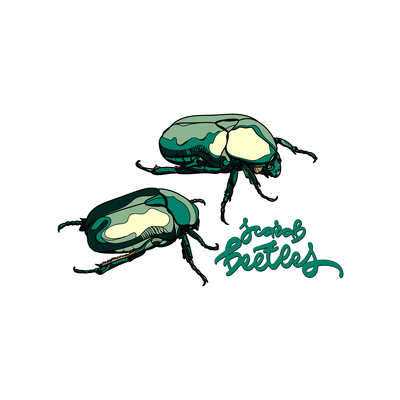 Beetle On Curated Vector Illustrations, Stock Royalty Free Images 400x400 Beetle On Curated Vector Illustrations, Stock Royalty Free Images