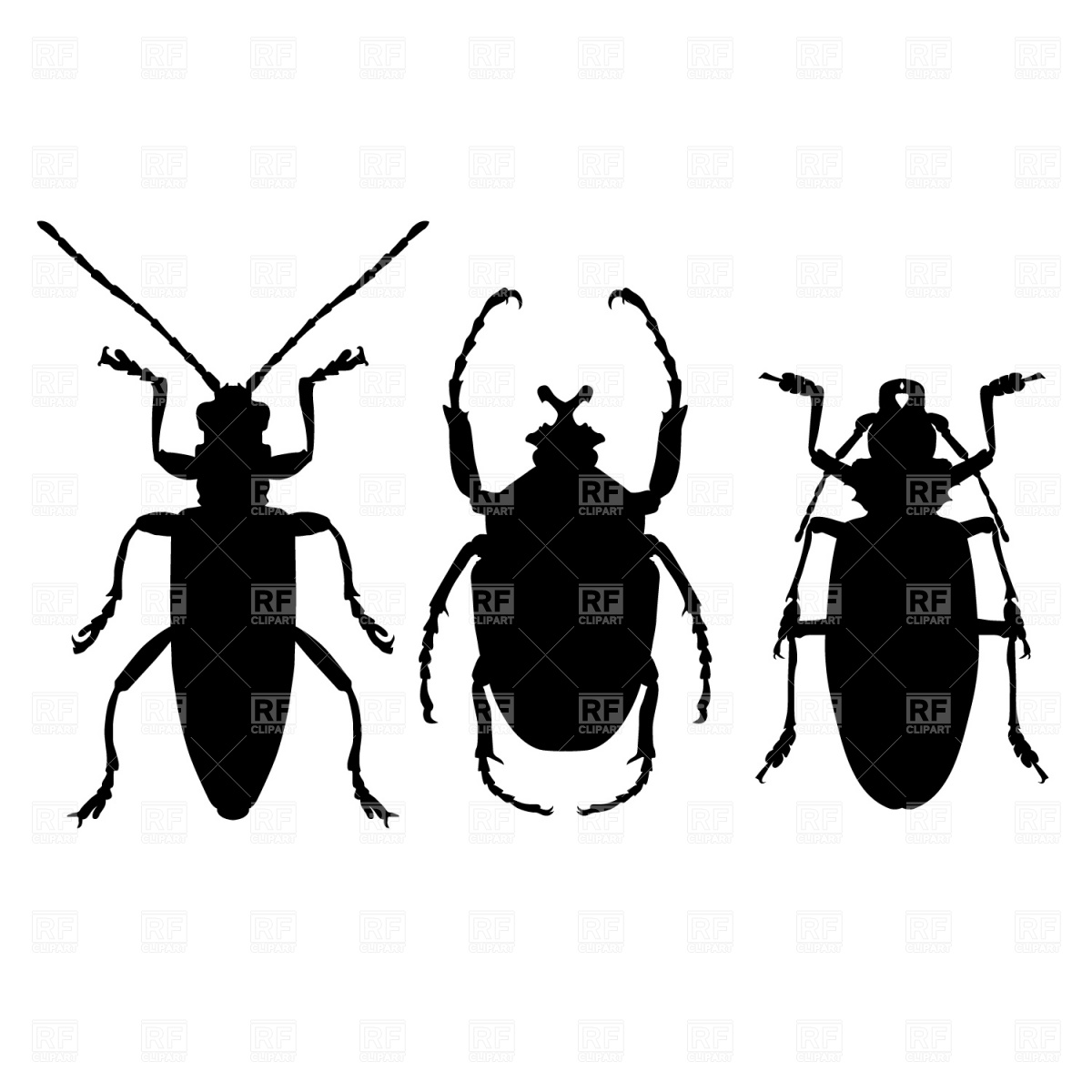 Beetle Silhouettes Vector Image Of Plants And Animals Prague 1200x1200 Beetle Silhouettes Vector Image Of Plants And Animals Prague
