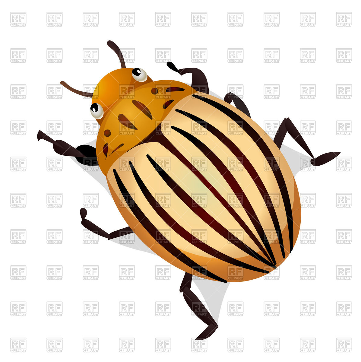 Colorado Potato Beetle Vector Image Of Plants And Animals 1197x1200 Colorado Potato Beetle Vector Image Of Plants And Animals