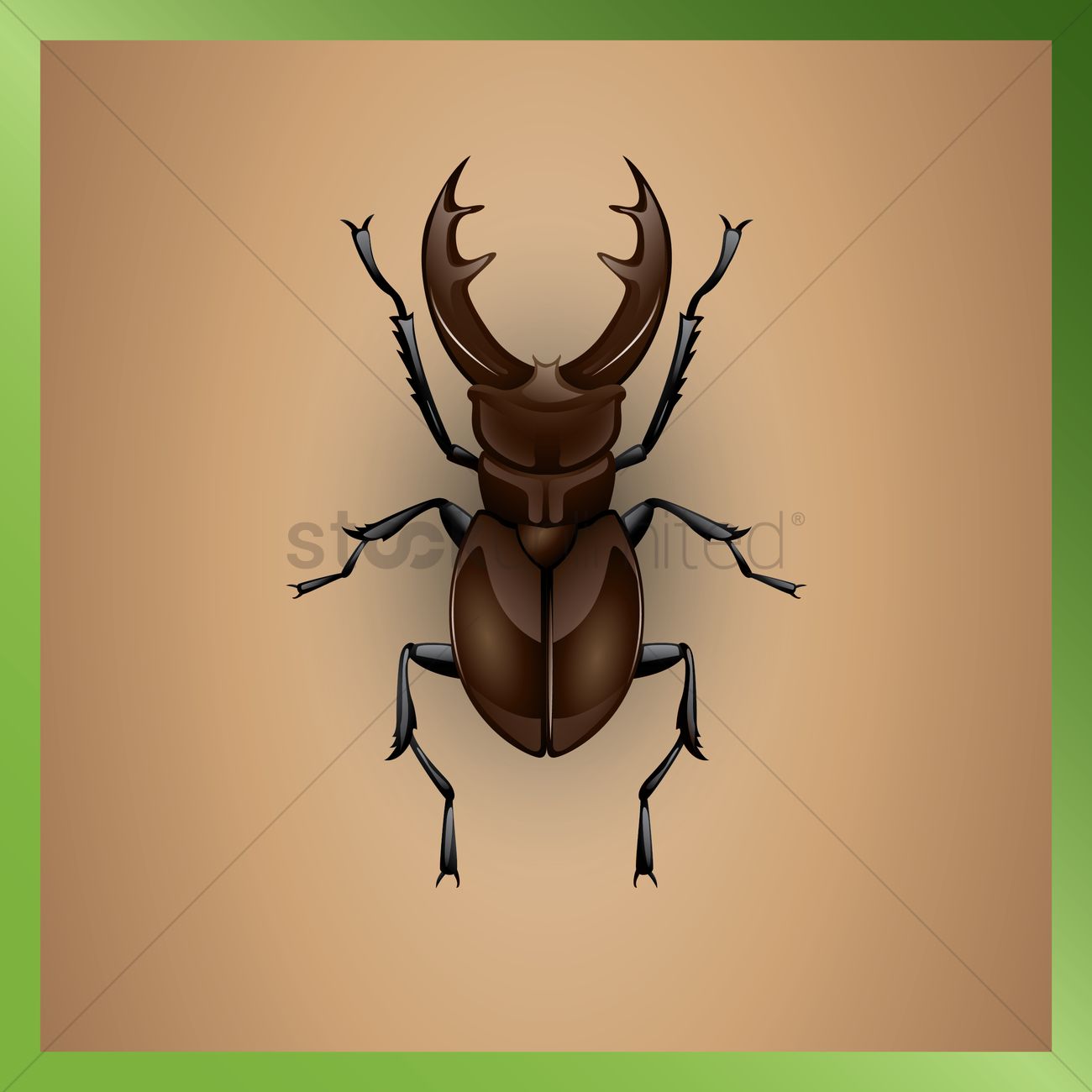 Deer Beetle Vector Image 1300x1300 Deer Beetle Vector Image