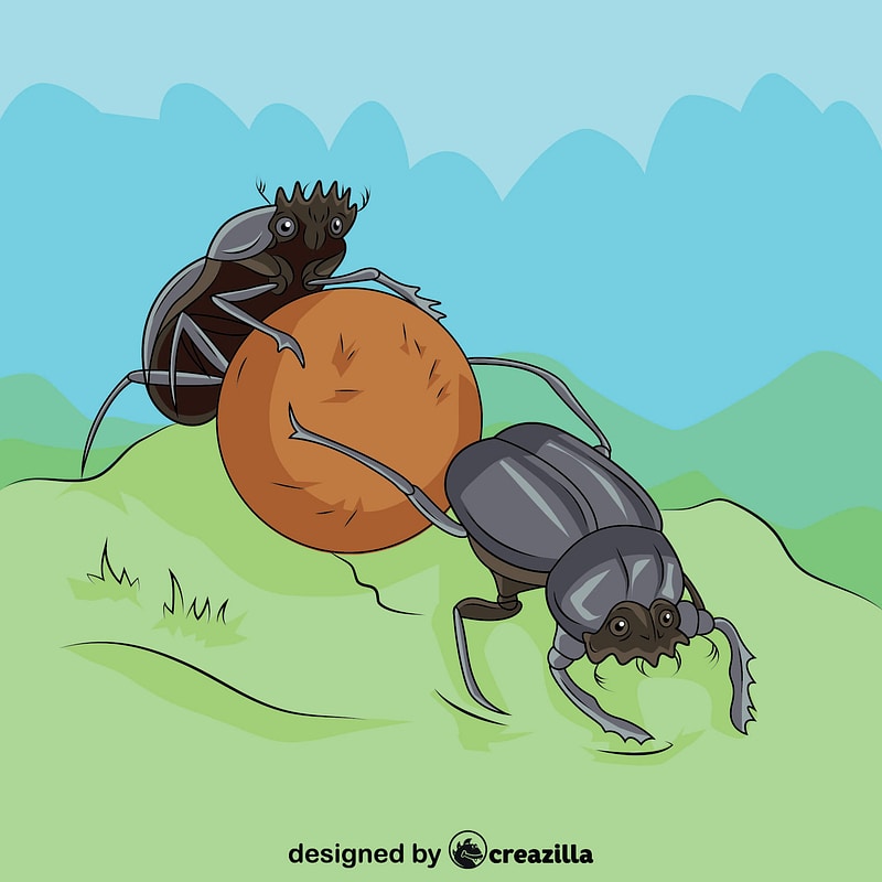 Dung Beetles Vector Free Download Creazilla 800x800 Dung Beetles Vector Free Download Creazilla