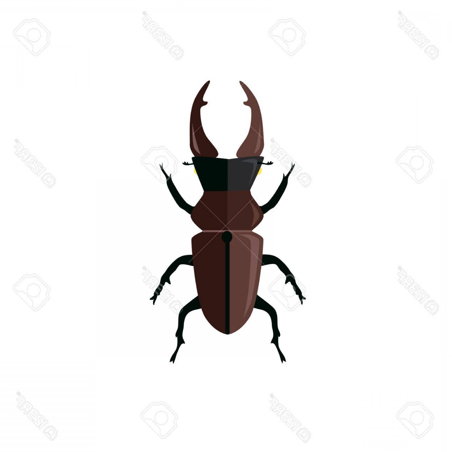 Photostock Vector Icon Of Big Beetle Deer With Horns Stag Beetle 1560x1560 Photostock Vector Icon Of Big Beetle Deer With Horns Stag Beetle