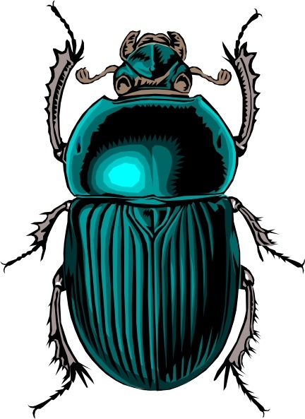 Beetle Bug Clip Art Free Vector In Open Office Drawing 432x593 Beetle Bug Clip Art Free Vector In Open Office Drawing