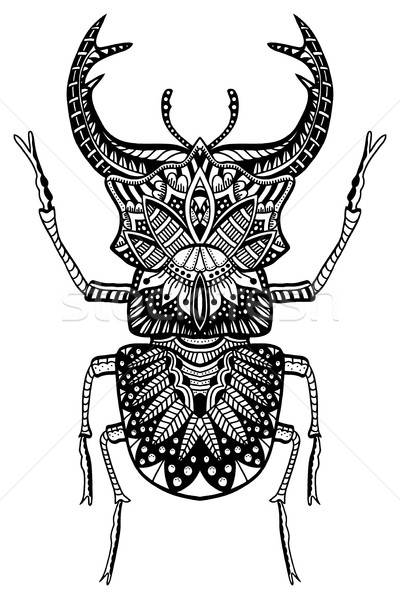 Hand Drawn Beetle Vector Illustration Volodymyr Vechirnii 400x600 Hand Drawn Beetle Vector Illustration Volodymyr Vechirnii