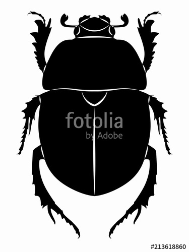 Illustration Of Beetle Vector Draw Stock Image And Royalty Free 375x500 Illustration Of Beetle Vector Draw Stock Image And Royalty Free