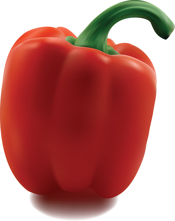 Bell Pepper Vector at Vectorified.com | Collection of Bell Pepper ...