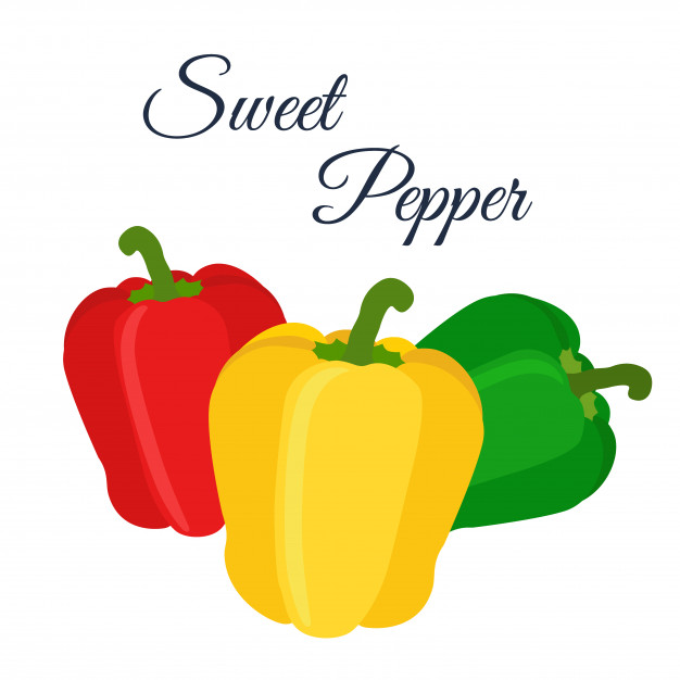 626x626 Bell Peppers Vector Premium Download