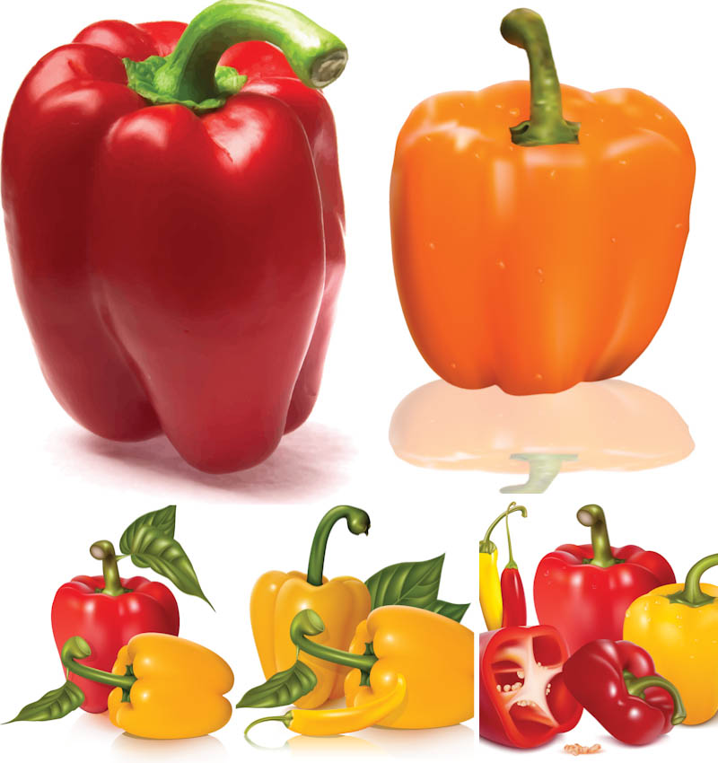 800x850 Bell Peppers Vector Free Stock Vector Art Illustrations