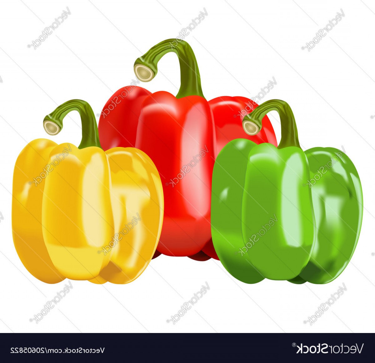 1200x1161 Capsicum Vector Catchsplace