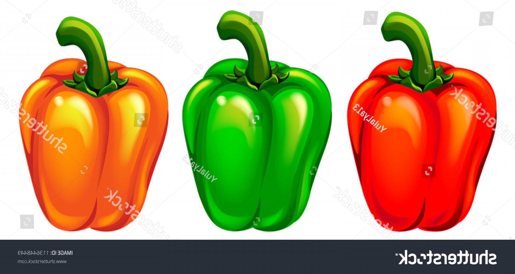 1800x958 Green Pepper Vector Cultracing