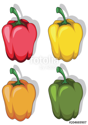 354x500 Orange, Yellow, Green, Red Paprika, Bell Pepper Vector