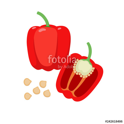 500x500 Sweet Pepper Vector Flat Illustration Whole And Halved Red Bell