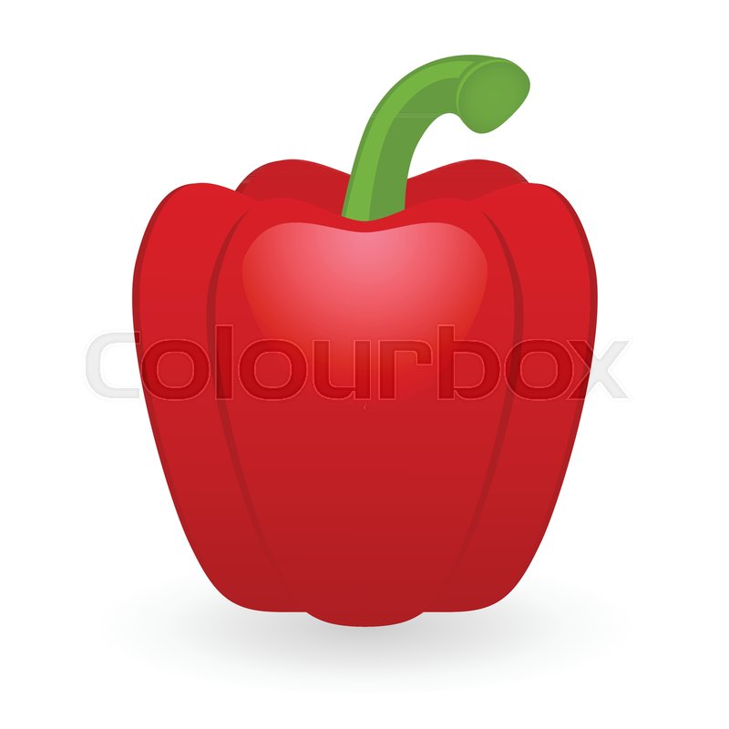 800x800 Vector Illustration Of Bell Pepper Stock Vector Colourbox