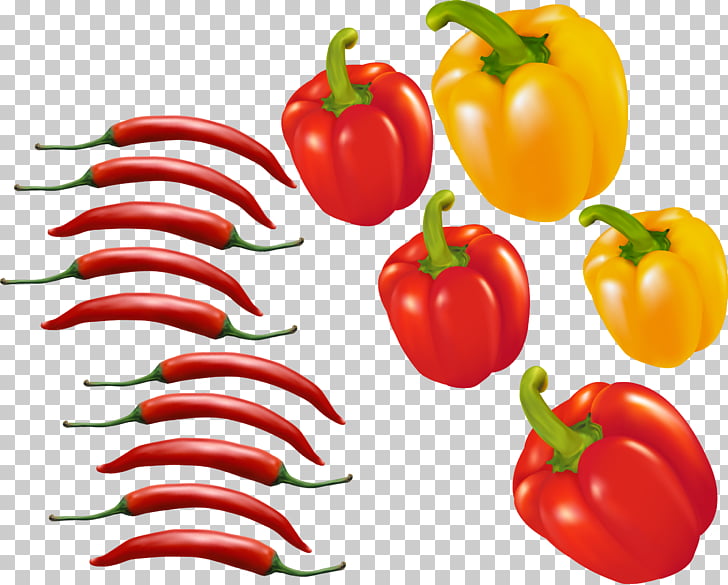 728x585 Bell Pepper Chili Pepper Tomato Euclidean Red Chili Pepper