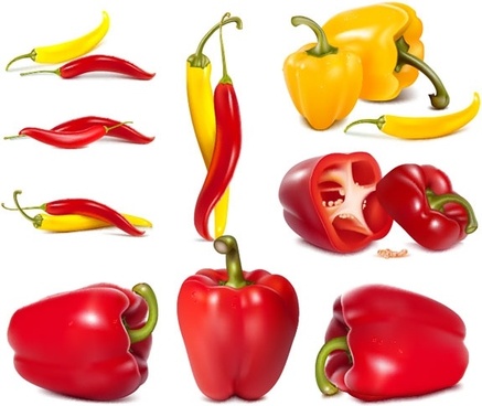437x368 Bell Pepper Free Vector Download
