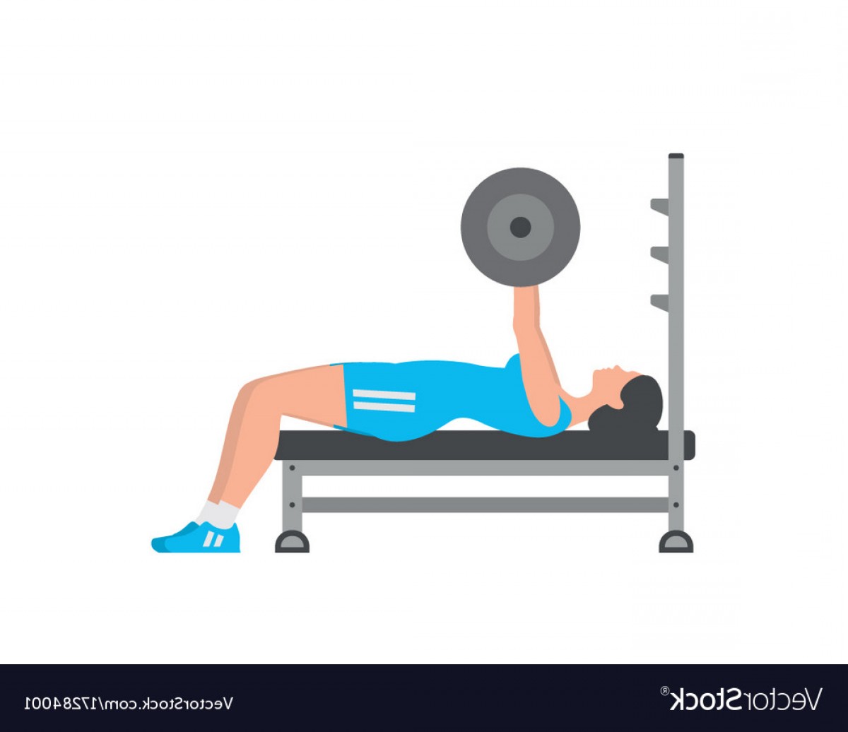 Vector Exercise Bench Wallkeeper 1200x1036 Vector Exercise Bench Wallkeeper