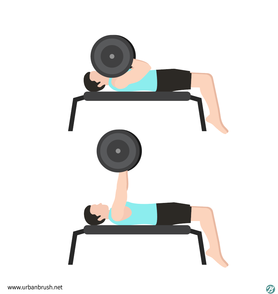 Bench Press Illustration Free Download Vector 937x991 Bench Press Illustration Free Download Vector