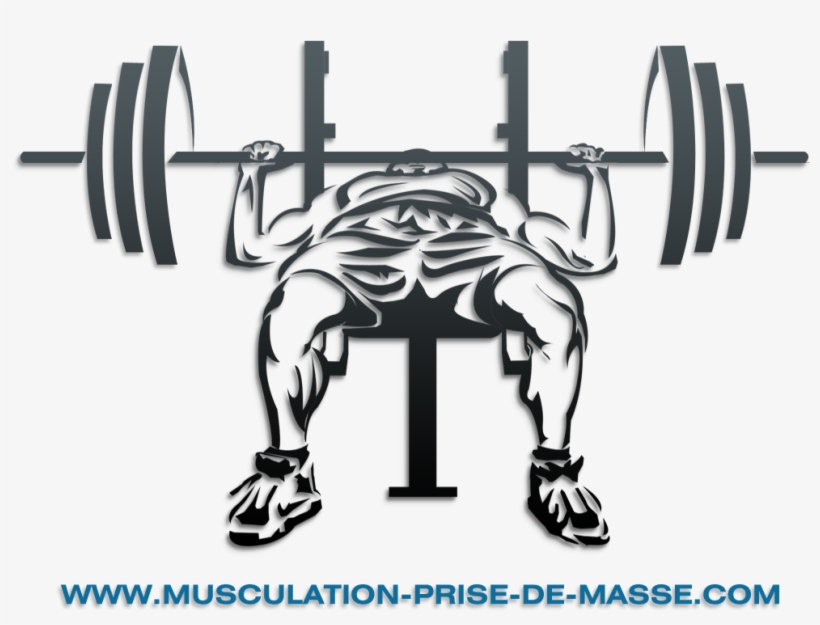 Bench Press Vector 820x625 Bench Press Vector