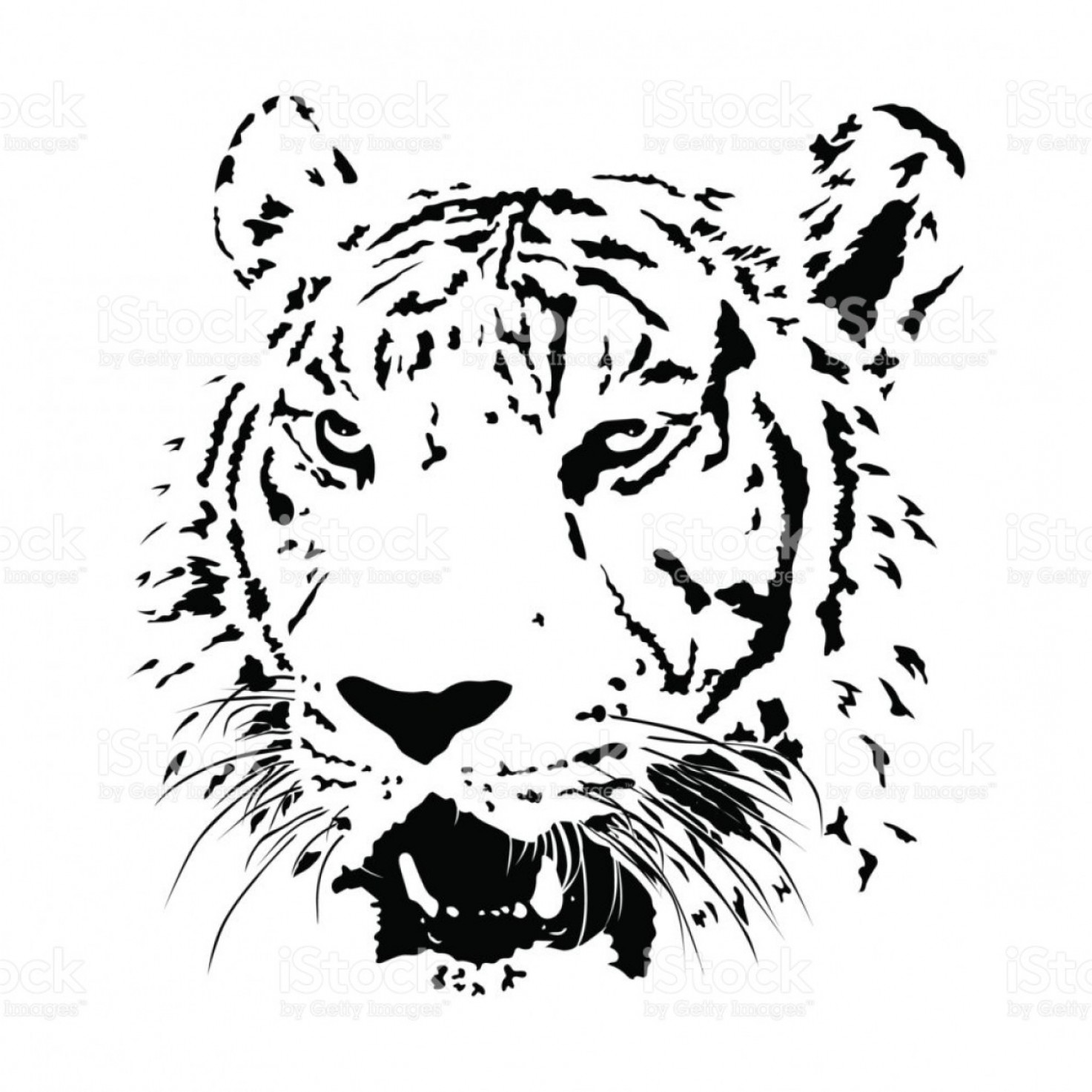 1473x1473 Black And White Bengal Tiger Isolated Animal Face Vector