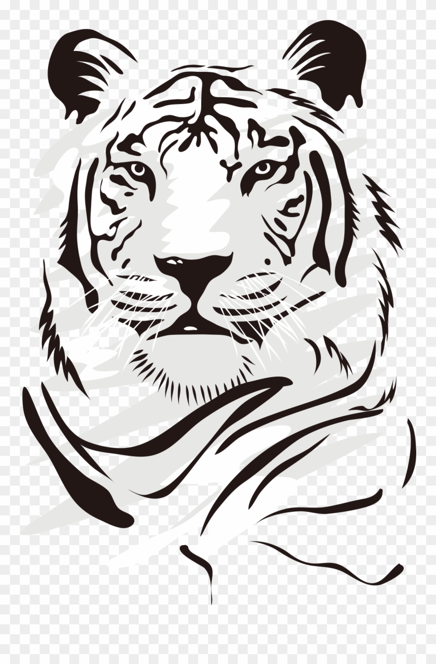 880x1340 Drawing Tigers Vector